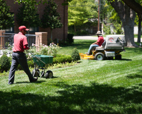 Lawn and Landscape Maintenance